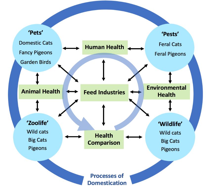 Research | Animal Feeding