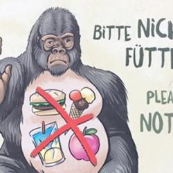 Illustration of Gorilla with wording 'Please do not feed' in German and English