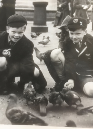 Schoolboys feed pigeons