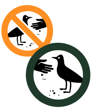 From 'Feed the Birds' to 'Do Not Feed the Animals'