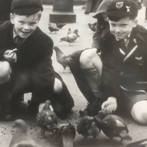 Schoolboys feed pigeons